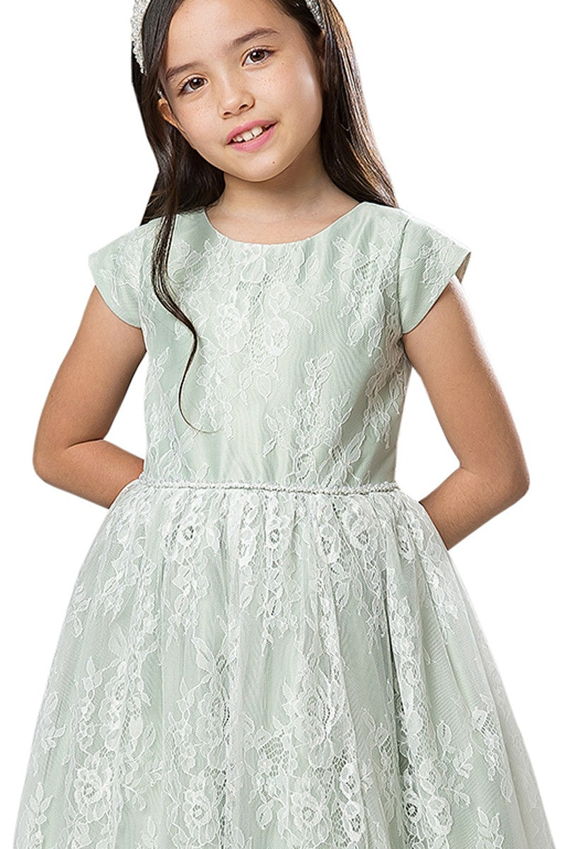 Soft French Lace T Length Dress