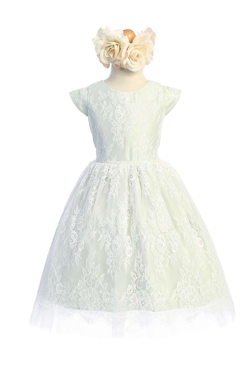 Soft French Lace T Length Dress