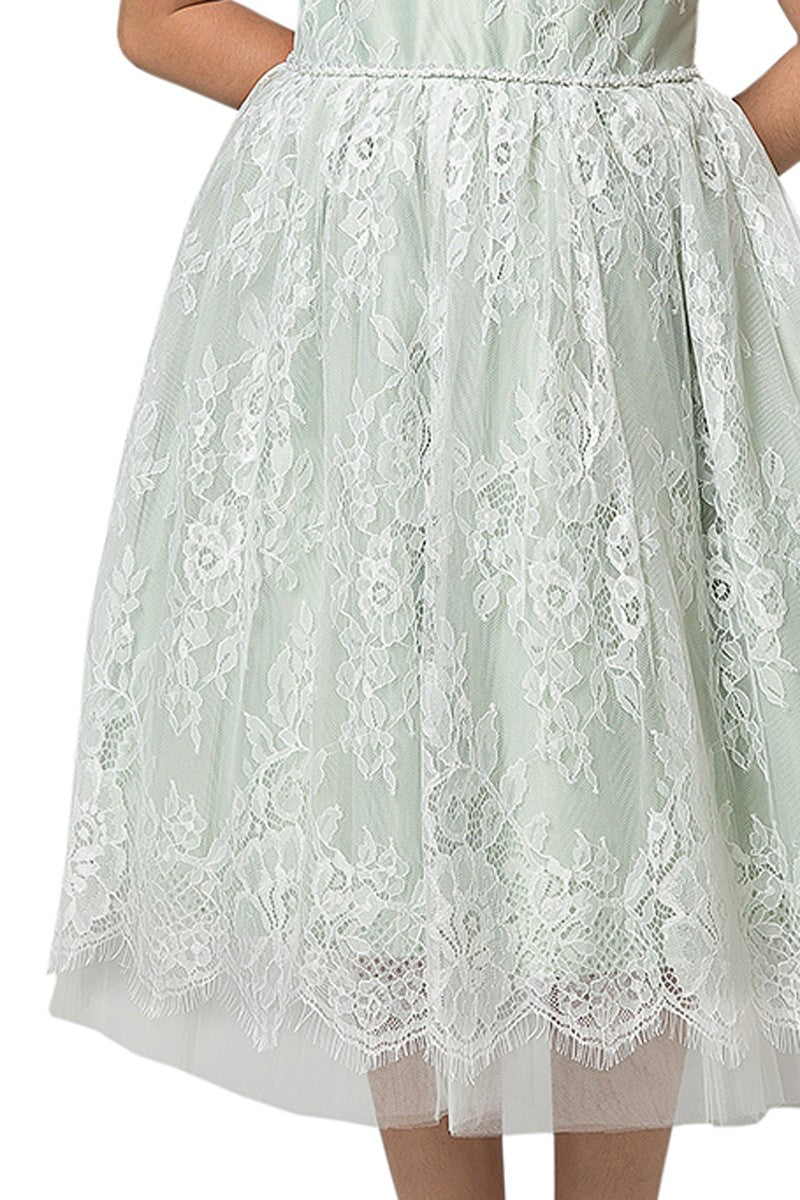 Soft French Lace T Length Dress