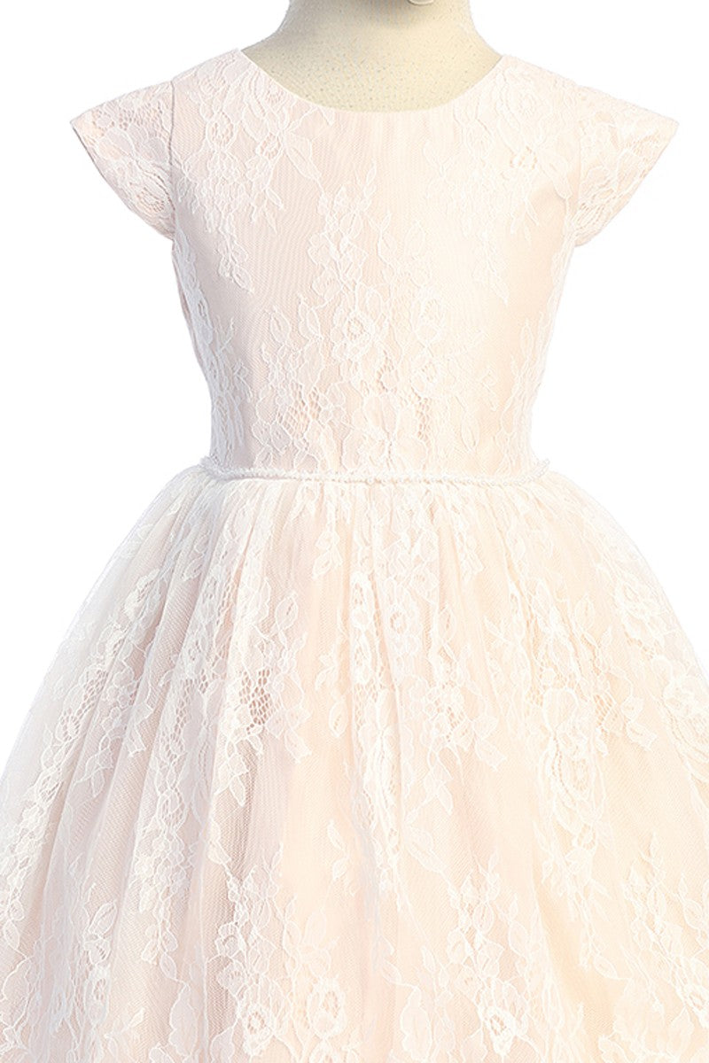 Soft French Lace T Length Dress