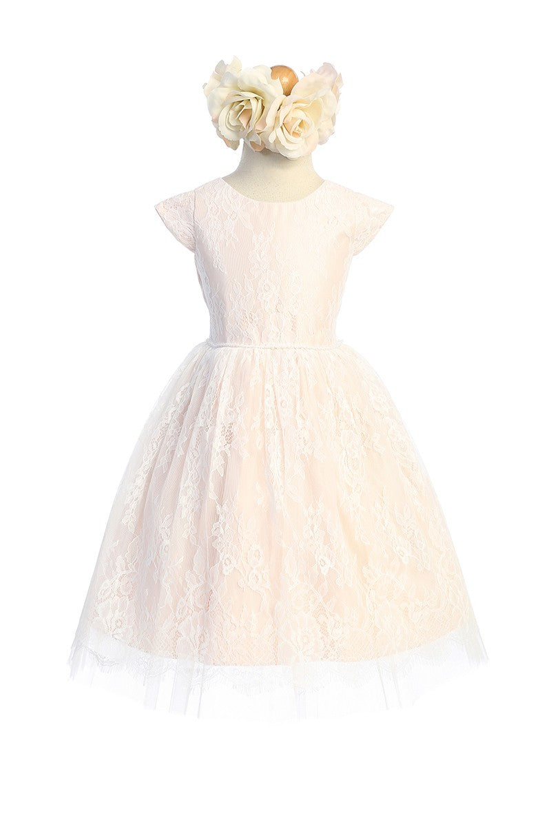 Soft French Lace T Length Dress