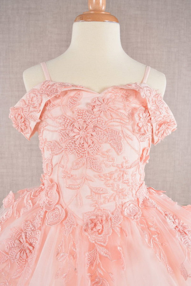 Floral Embroidery A Line Girl Dress