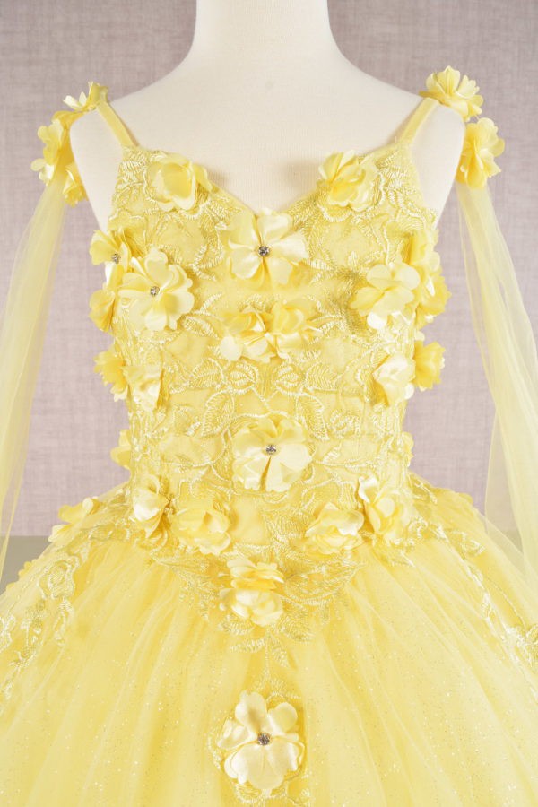 3d Floral Applique Cape Sleeve A Line Girl Dress