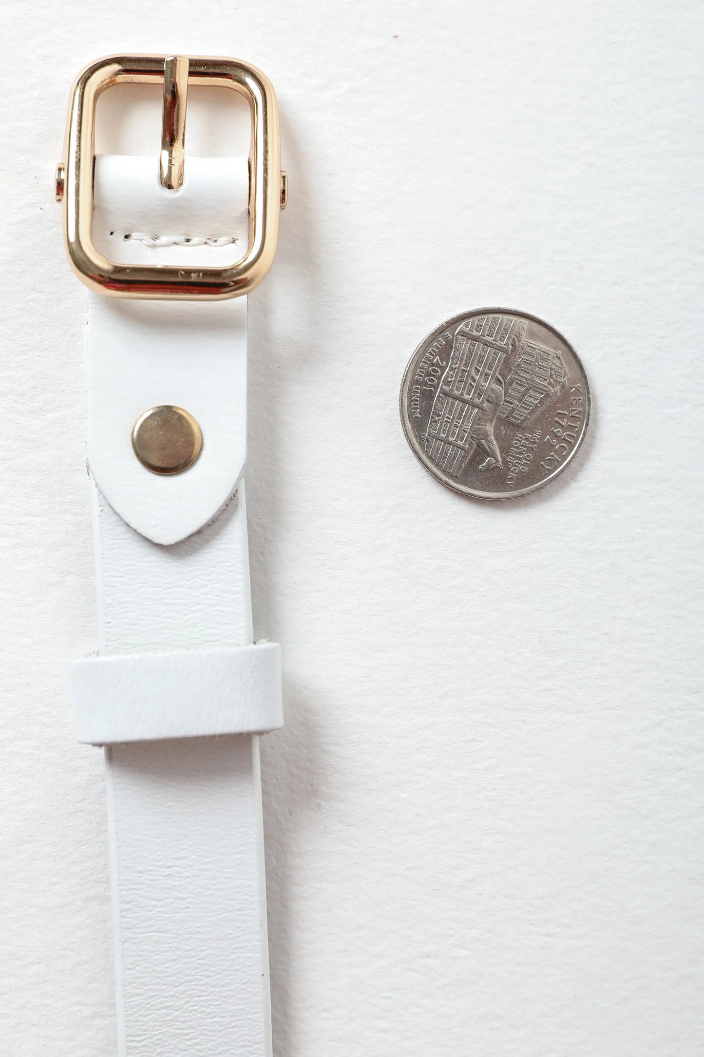 Versatile Skinny Leather Belt – Perfect for Any Outfit 💫