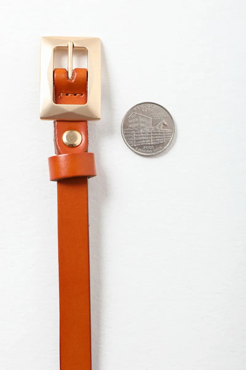 Gold Buckle Skinny Belt – Chic and Elegant